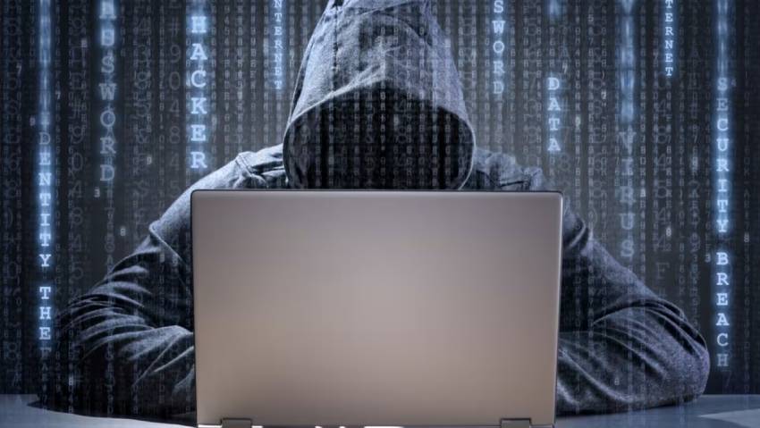 延庆县小程序定制开发：.NET的利刃与暗礁